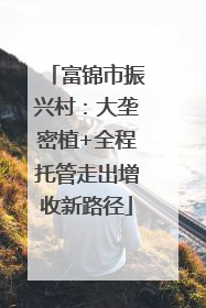 富锦市振兴村：大垄密植+全程托管走出增收新路径