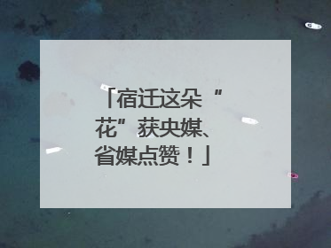 宿迁这朵“花”获央媒、省媒点赞！