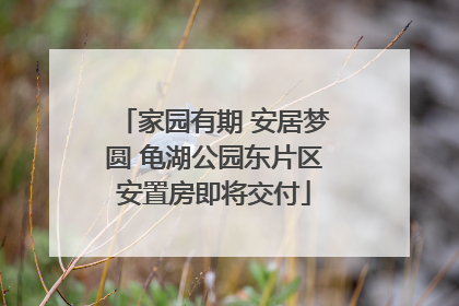 家园有期 安居梦圆 龟湖公园东片区安置房即将交付