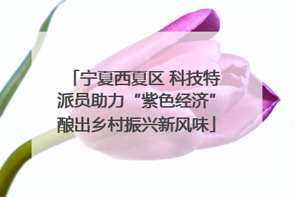 宁夏西夏区 科技特派员助力“紫色经济”酿出乡村振兴新风味