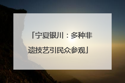 宁夏银川：多种非遗技艺引民众参观