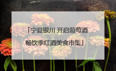 宁夏银川 开启葡萄酒畅饮季红酒美食市集