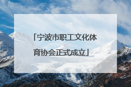 宁波市职工文化体育协会正式成立