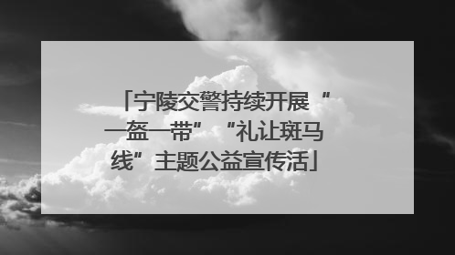 宁陵交警持续开展“一盔一带”“礼让斑马线”主题公益宣传活