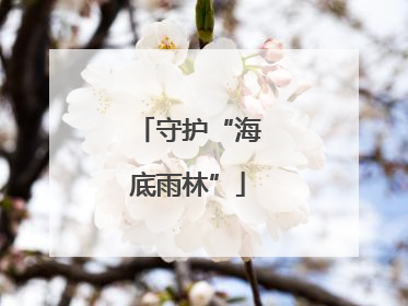 守护“海底雨林”
