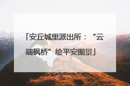 安丘城里派出所：“云端枫桥”绘平安图景