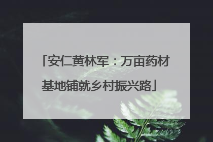 安仁黄林军：万亩药材基地铺就乡村振兴路