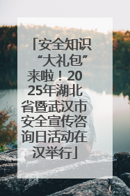 安全知识“大礼包”来啦！2025年湖北省暨武汉市安全宣传咨询日活动在汉举行