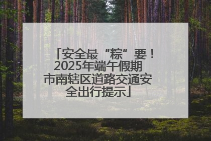 安全最“粽”要！2025年端午假期市南辖区道路交通安全出行提示