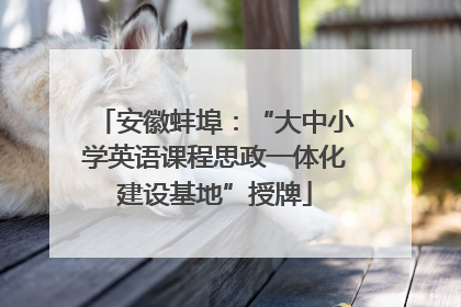 安徽蚌埠：“大中小学英语课程思政一体化建设基地”授牌