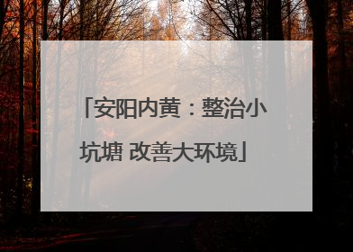 安阳内黄：整治小坑塘 改善大环境