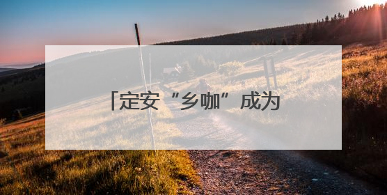 定安“乡咖”成为特色文明实践地