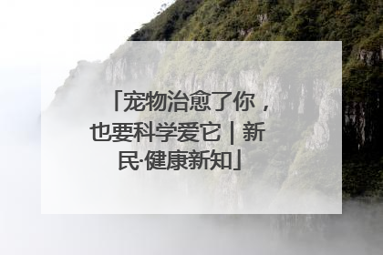 宠物治愈了你，也要科学爱它｜新民·健康新知