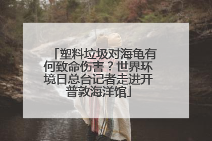 塑料垃圾对海龟有何致命伤害？世界环境日总台记者走进开普敦海洋馆