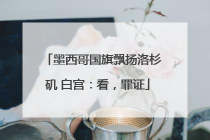 墨西哥国旗飘扬洛杉矶 白宫：看，罪证