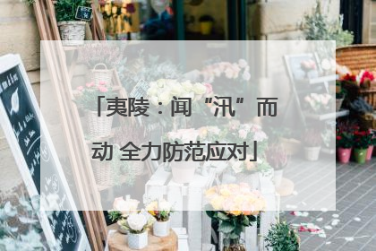 夷陵：闻“汛”而动 全力防范应对