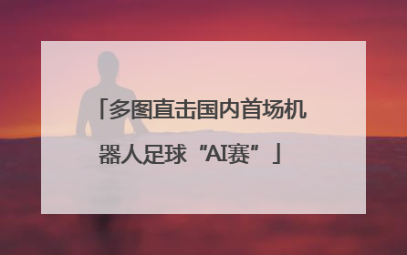 多图直击国内首场机器人足球“AI赛”