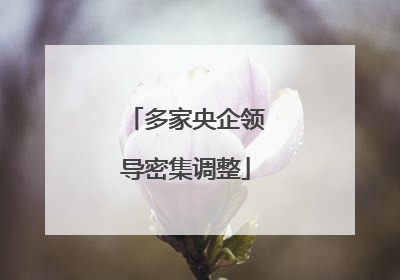 多家央企领导密集调整