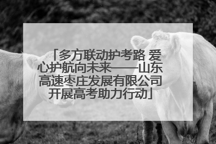 多方联动护考路 爱心护航向未来——山东高速枣庄发展有限公司开展高考助力行动