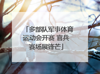 多部队军事体育运动会开赛 官兵赛场展锋芒
