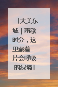 大美东城｜雨歇时分，这里藏着一片会呼吸的绿境