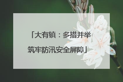 大有镇：多措并举筑牢防汛安全屏障