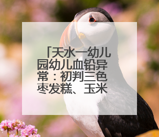天水一幼儿园幼儿血铅异常：初判三色枣发糕、玉米肠卷或添加剂超标，曾现周二食谱中
