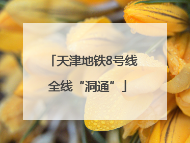 天津地铁8号线全线“洞通”