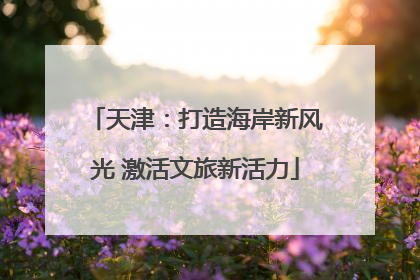 天津：打造海岸新风光 激活文旅新活力