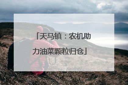 天马镇：农机助力油菜颗粒归仓