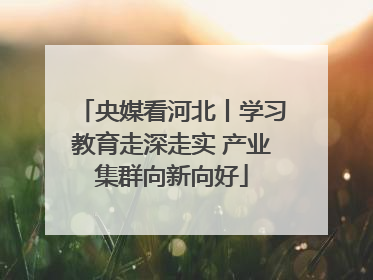 央媒看河北丨学习教育走深走实 产业集群向新向好