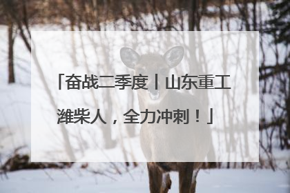 奋战二季度丨山东重工潍柴人，全力冲刺！