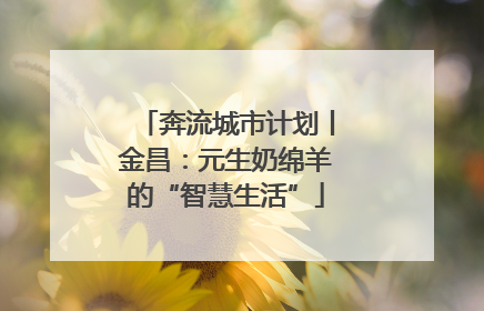 奔流城市计划丨金昌：元生奶绵羊的“智慧生活”