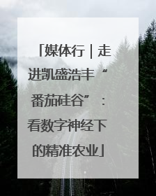 媒体行｜走进凯盛浩丰“番茄硅谷”：看数字神经下的精准农业