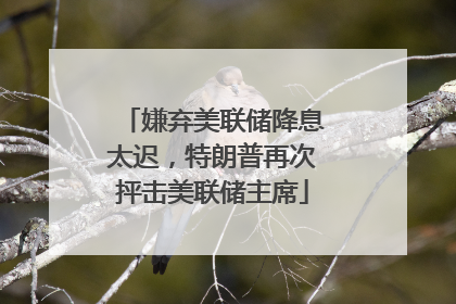 嫌弃美联储降息太迟，特朗普再次抨击美联储主席