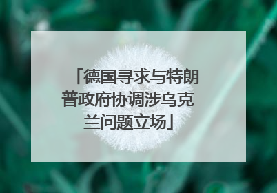 德国寻求与特朗普政府协调涉乌克兰问题立场