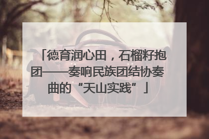德育润心田，石榴籽抱团——奏响民族团结协奏曲的“天山实践”