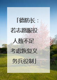 德防长：若志愿服役人数不足 考虑恢复义务兵役制