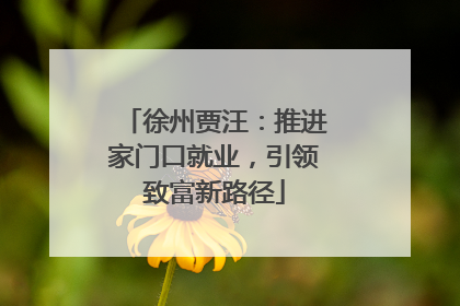 徐州贾汪：推进家门口就业，引领致富新路径