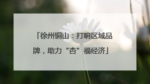 徐州铜山：打响区域品牌，助力“杏”福经济