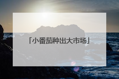 小番茄种出大市场