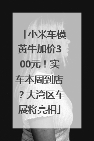 小米车模黄牛加价300元！实车本周到店？大湾区车展将亮相