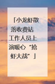 小龙虾散落收费站 工作人员上演暖心“抢虾大战”