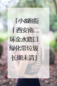 小8跑街丨西安南二环金水路口绿化带垃圾长期未清