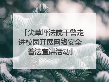 尖草坪法院干警走进校园开展网络安全普法宣讲活动