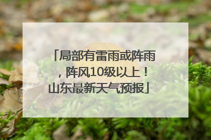 局部有雷雨或阵雨，阵风10级以上！山东最新天气预报