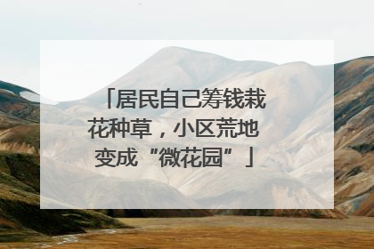 居民自己筹钱栽花种草，小区荒地变成“微花园”