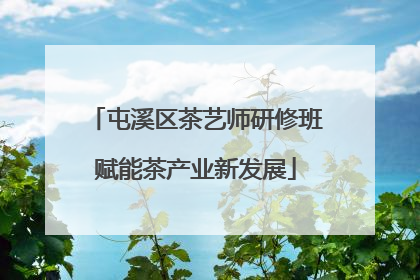 屯溪区茶艺师研修班赋能茶产业新发展