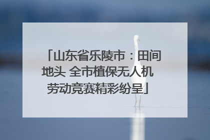 山东省乐陵市：田间地头 全市植保无人机劳动竞赛精彩纷呈