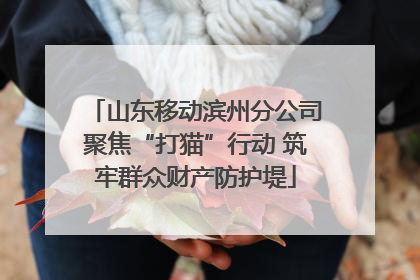 山东移动滨州分公司聚焦“打猫”行动 筑牢群众财产防护堤